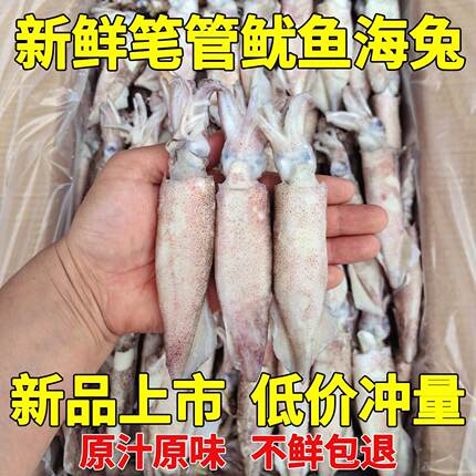 新鲜籽乌海兔笔管鱼小鱿鱼仔鲜活冷冻墨鱼八爪鱼乌贼无冰海鲜水产