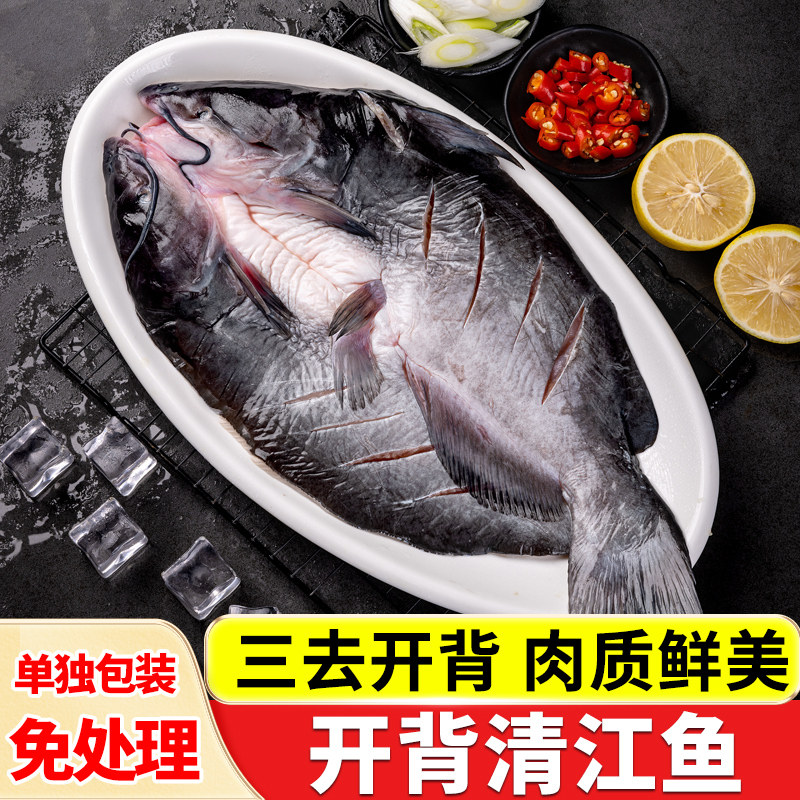 清江鱼斑点叉尾鮰鱼鲜活开背青江鱼商用烤鱼腌制新鲜批发食材生鲜