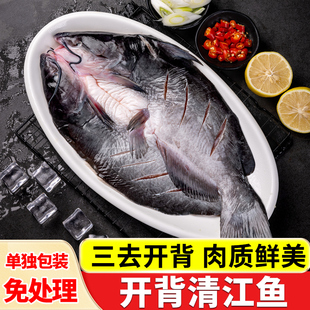 清江鱼斑点叉尾鮰鱼鲜活开背青江鱼商用烤鱼腌制新鲜批发食材生鲜