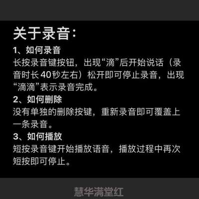 录音玩偶录音器表白%可放挂神器毛绒玩具芯盒发声器录音机发声器