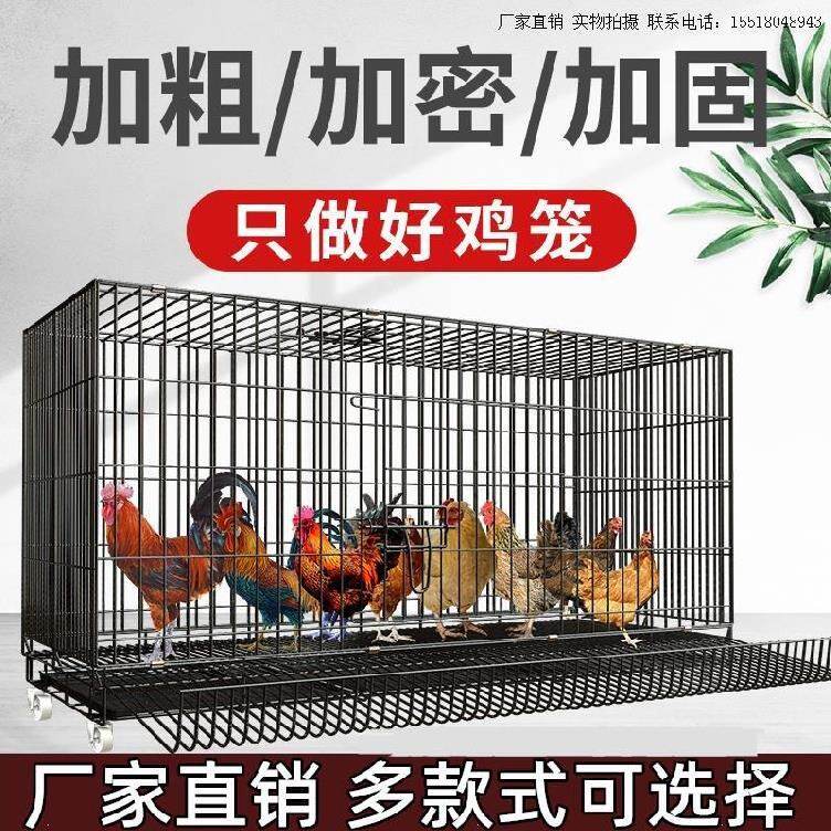 移动滚蛋鸡笼阳台鸭鹅养鸡笼子家用户外室外鸡舍带食槽鸡雏鸡铺关
