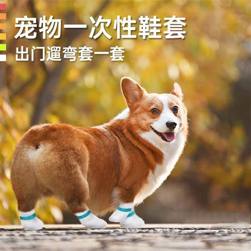 狗狗防脏脚套一次性宠物袜子小狗鞋爪套外出防抓防掉泰迪比熊包脚