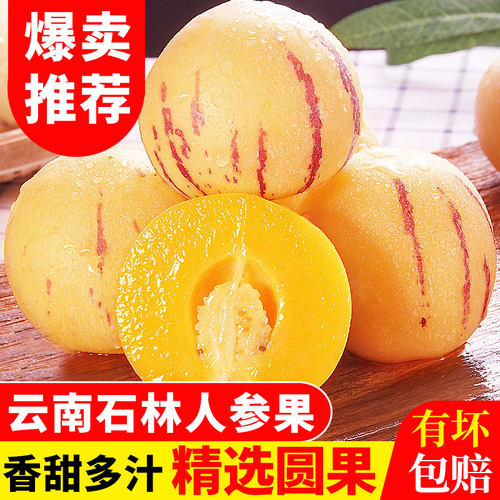 正宗云南石林人参果清甜爆汁！！