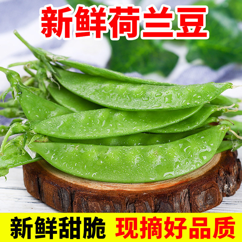 云南高山新鲜荷兰豆农家自种