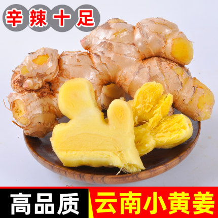 云南小黄姜生姜新鲜罗平小黄姜月子姜老姜山地土姜沙姜蔬菜旗舰店