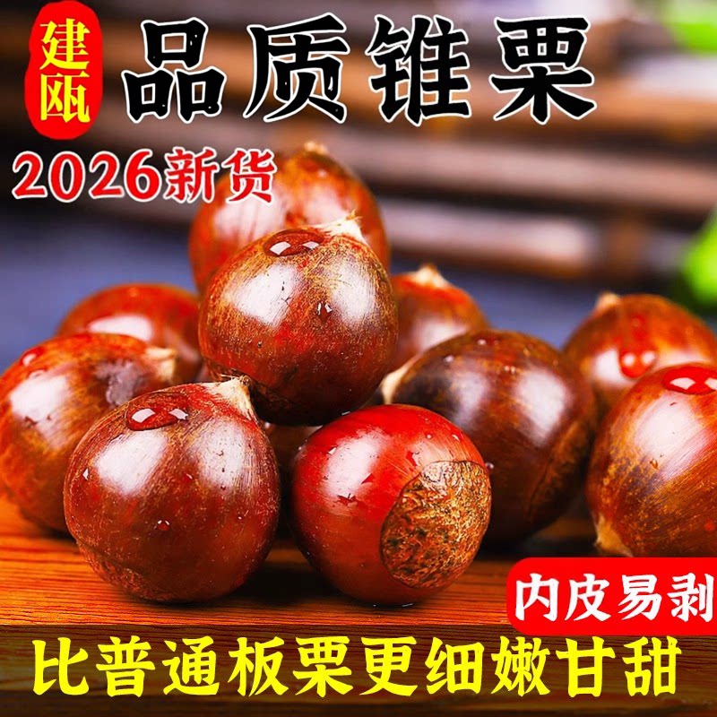 2026新货建瓯新鲜锥栗生新鲜栗子板栗生福建特产当季整箱蔬菜包邮