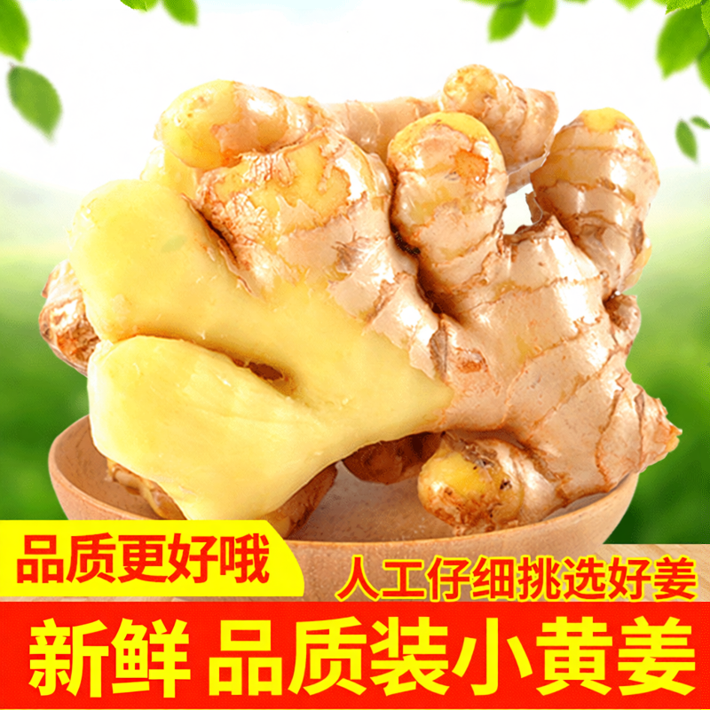 正宗云南小黄姜生姜新鲜小黄姜月子姜老姜山地土姜沙姜蔬菜旗舰店