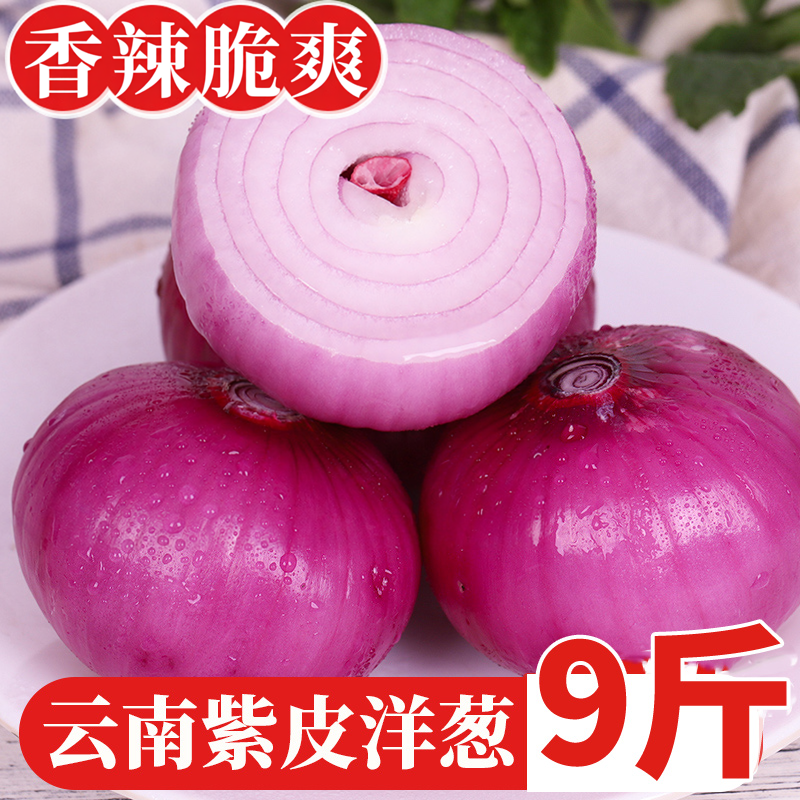 云南紫皮洋葱9斤新鲜圆葱大葱头农家自种当季现挖蔬菜红洋葱包邮