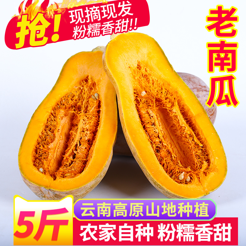 云南板栗老南瓜新鲜现发8斤