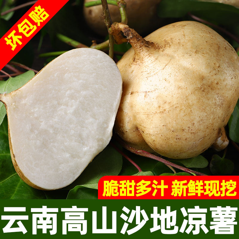 云南凉薯新鲜现挖地瓜白萝卜地萝卜农家特产土番薯白心即食包邮