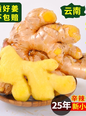 2025新姜云南小黄姜老鲜现挖生姜5斤老沙土种植包邮嫩仔姜干整箱