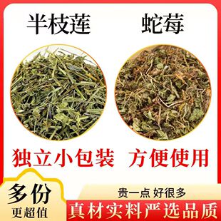 野生半枝莲蛇莓组合独立包装三角包真材实料泡水煮水养生茶包女男