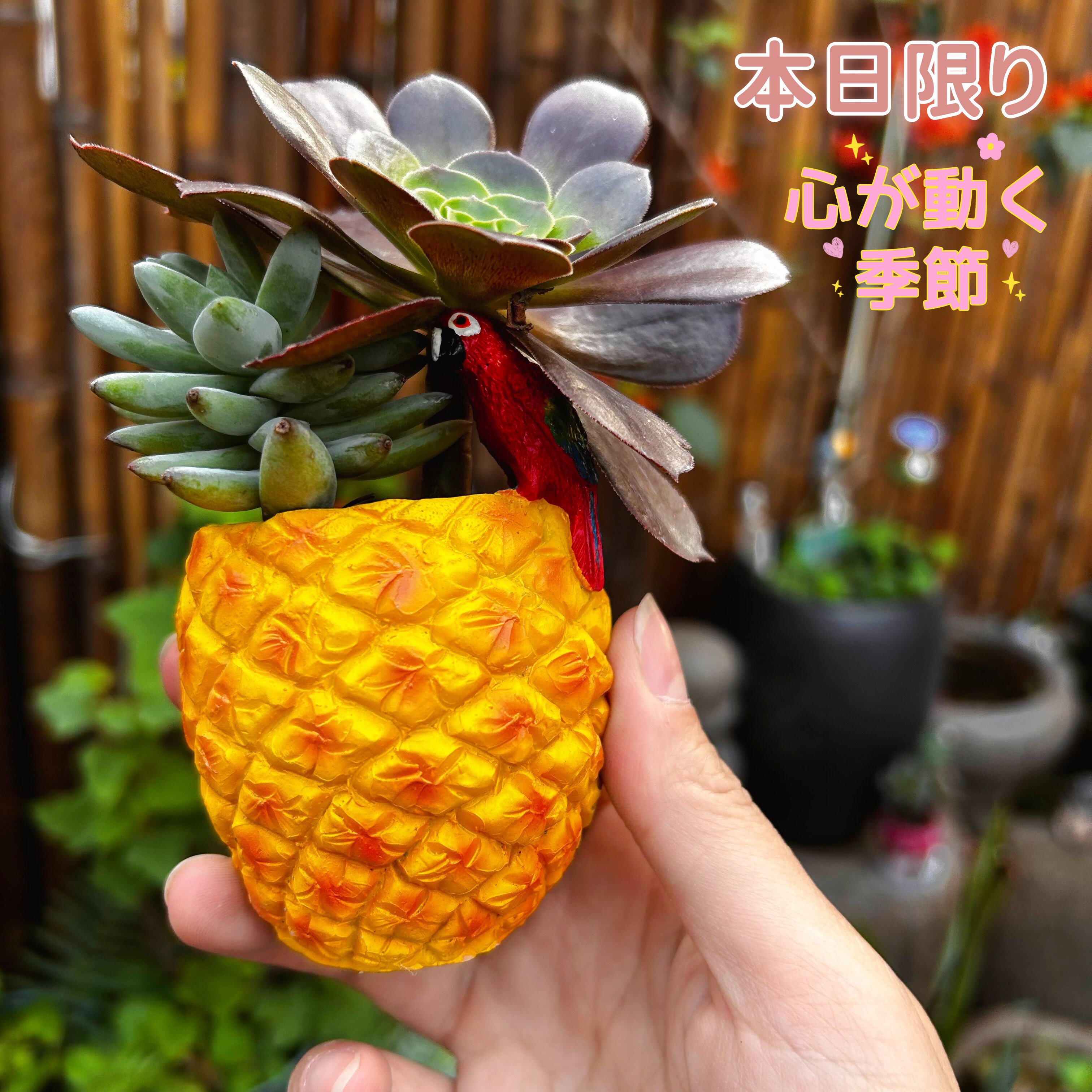 日系菠萝造型树脂多肉花盆