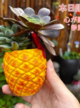 日系菠萝造型树脂多肉花盆