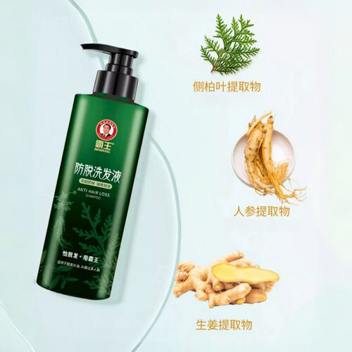 霸王防洗发水控油蓬松洗发露侧柏叶育发洗头膏男女生固发套装F