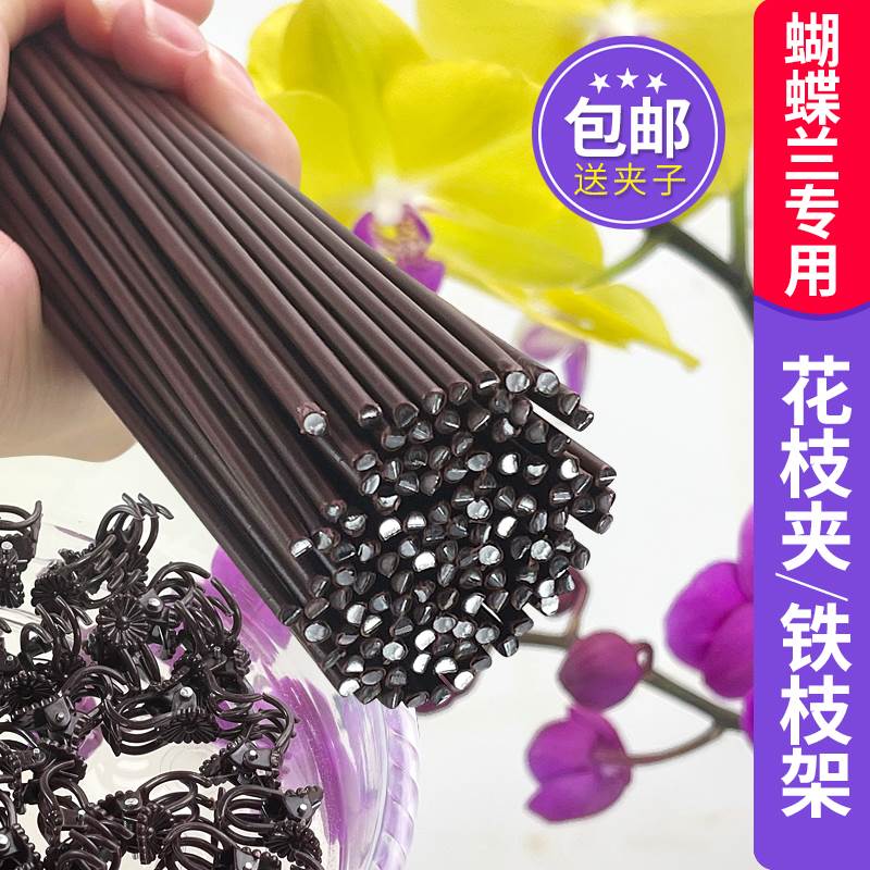 蝴蝶兰支架夹子专用固定