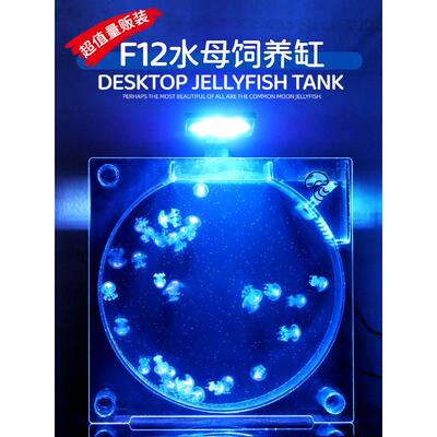 家庭水母饲养缸水母缸桌面展示缸水族生态鱼缸赤月海月摆摊养殖缸