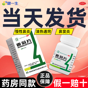 东秦香菊片60片成人儿童急慢性鼻炎鼻窦炎药通窍片官方旗舰店正品