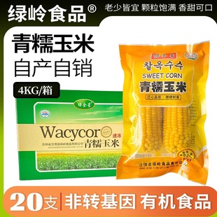 东北玉米青糯有机玉米非转基因汪清天桥岭速冻绿岭水果新鲜黄玉米