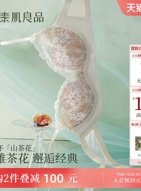 性感深V蕾丝小胸聚拢文胸套装
