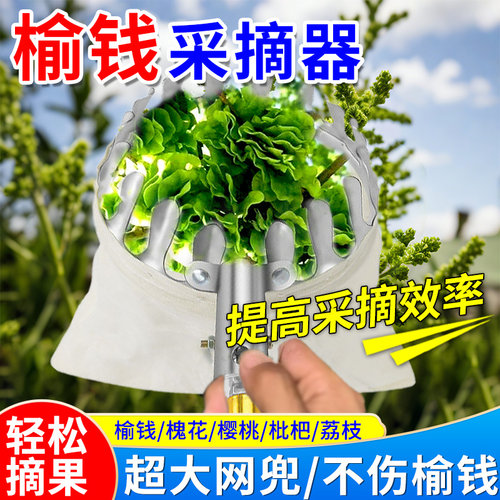 摘榆钱神器摘香椿榆钱春芽红花专用钩子工具摘嘉宝果杨梅果伸缩杆