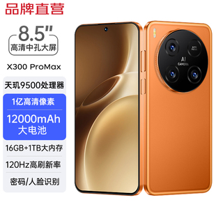 【官方正品】viipoo全新大内存1亿像素超薄高清大屏12000毫安大电池超长待机游戏大喇叭AI千元全网通智能手机
