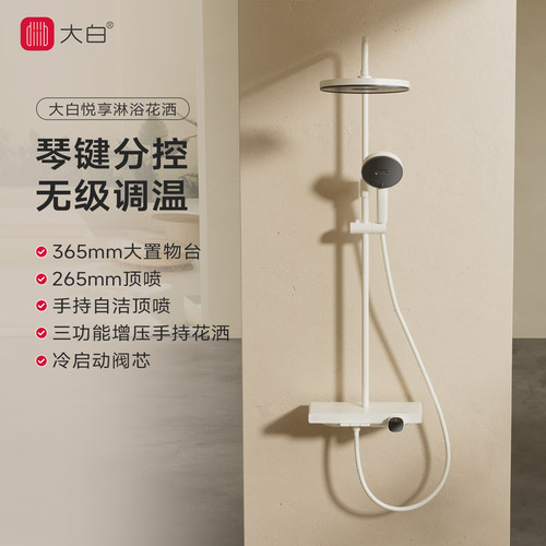 大白悦享三功能淋浴花洒套装