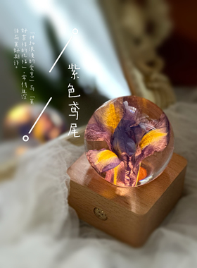 紫色鸢尾花氛围夜灯摆件永生花水晶球七夕生日礼物送女友送妈妈