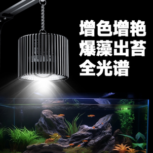 斯星特2025新款 鱼缸灯LED全光谱增艳色爆藻灯原生溪流灯水草筒灯