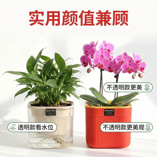 透明色懒人花盆一个月浇一次水