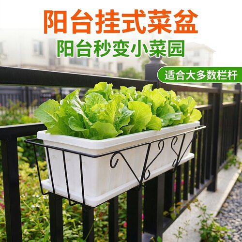 阳台栏杆种菜铁架悬挂草莓花盆