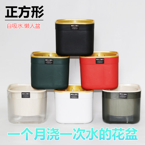 透明色懒人花盆一个月浇一次水