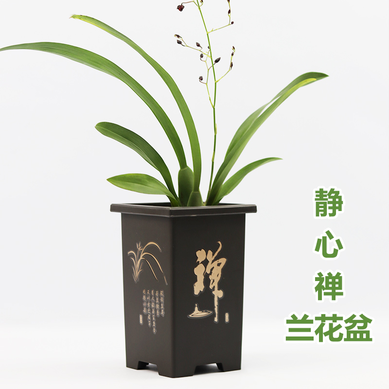 加厚树脂胶兰花盆送方木樽底座