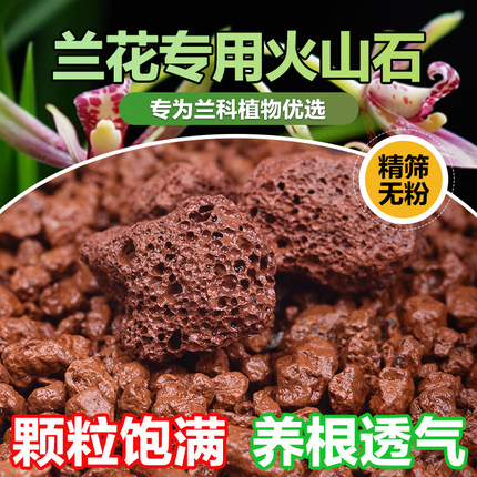 优质水洗红火山石兰花专用拌土铺面火山岩颗粒高温灭菌多肉专用土