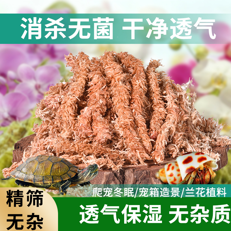 乌龟爬宠专用冬眠水苔智利进口