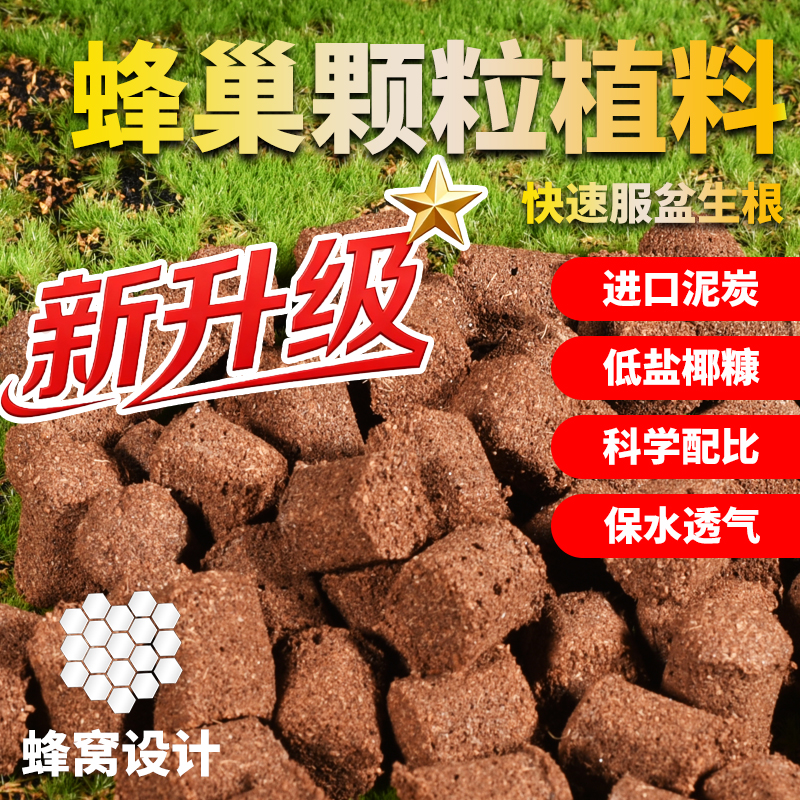 蜂巢颗粒植料热植土蝴蝶兰花