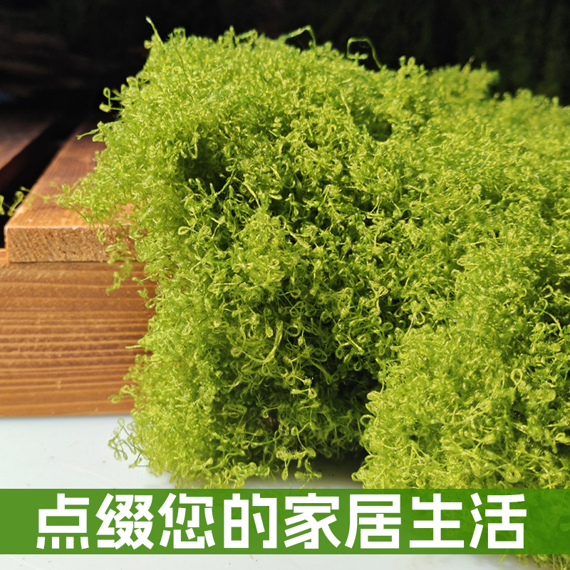 仿真苔藓丝丛林假青苔仿生