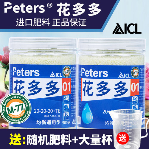 多多2号月季进口通用水溶兰花