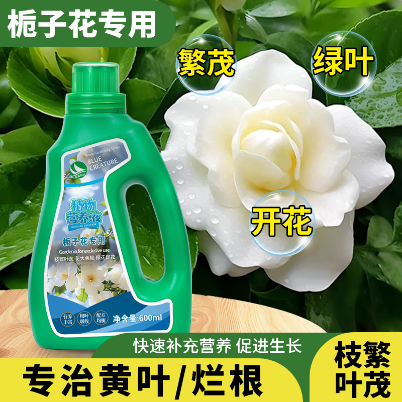 栀子花肥料专用营养液花卉爆花开花通用型土培水培家用酸性花肥