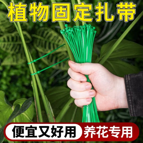 植物固定扎带绑扎丝月季爬藤绿植造型枝干固定束线带捆绑扎绳扎丝