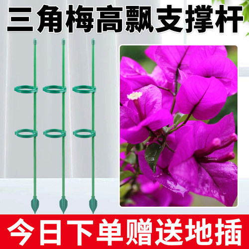 三角梅高飘专用植物支撑杆