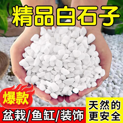 醉花天然白石子多肉专用