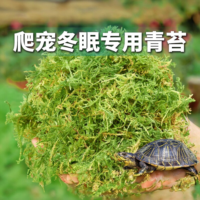爬宠乌龟专用冬眠干苔藓