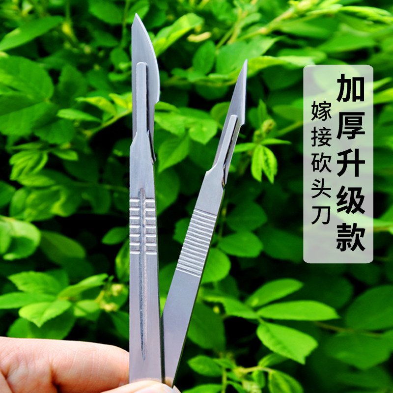 多肉砍头刀嫁接刀芽接刀包邮 月季嫁接十二卷 不锈钢嫁接专用工具