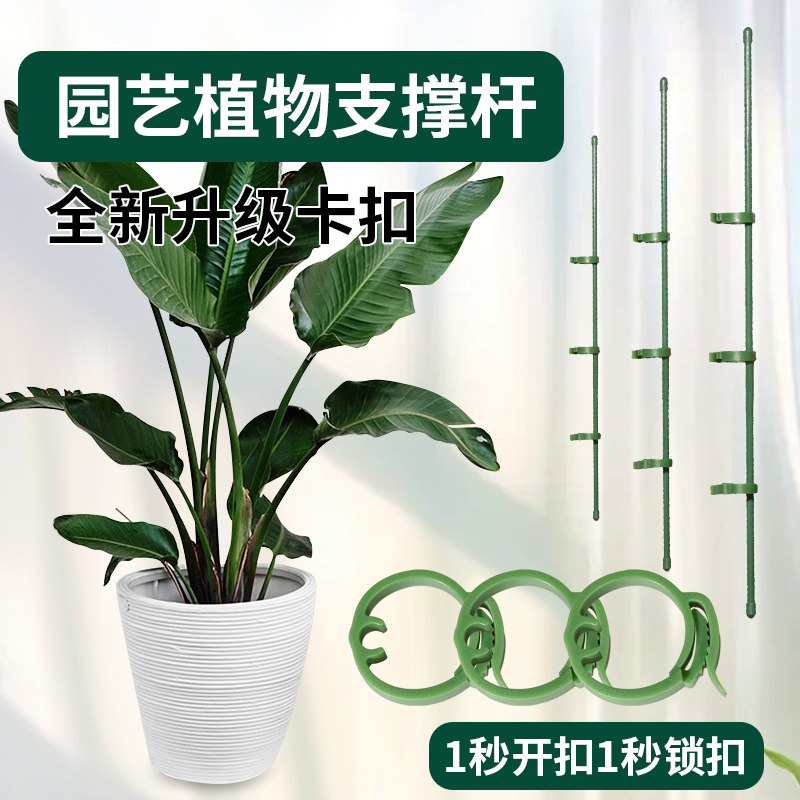 园艺支撑杆花架固定器龟背竹花支架固定花神器植物花杆爬藤防倒伏