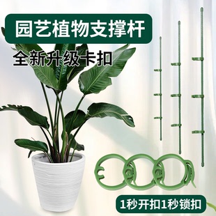 园艺支撑杆花架固定器龟背竹花支架固定花神器植物花杆爬藤防倒伏