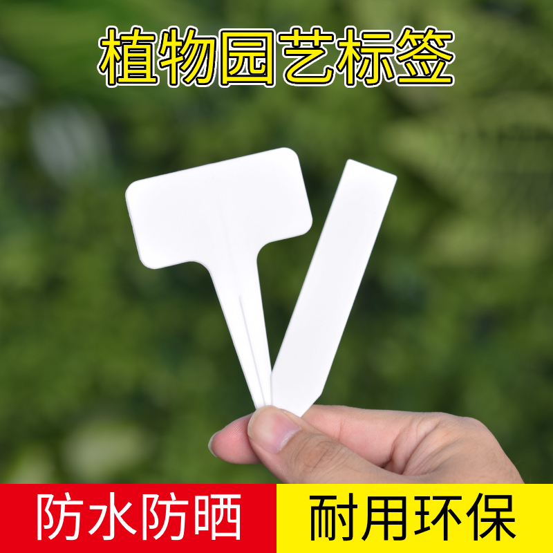 一字型标签包邮多肉植物塑