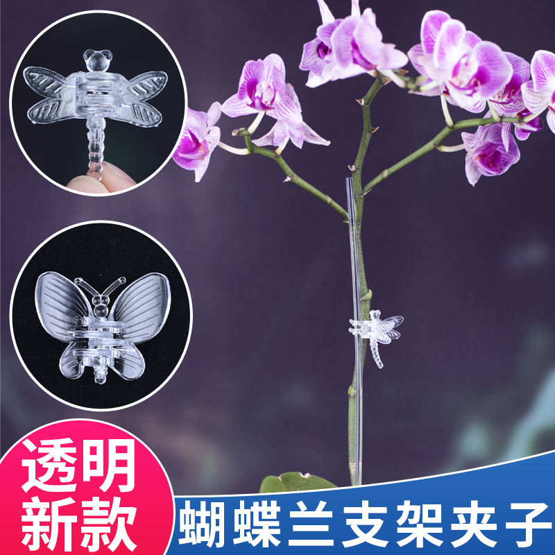 透明蝴蝶兰夹子兰花支架植物支撑杆爬藤类花卉防倒伏固定专用园艺