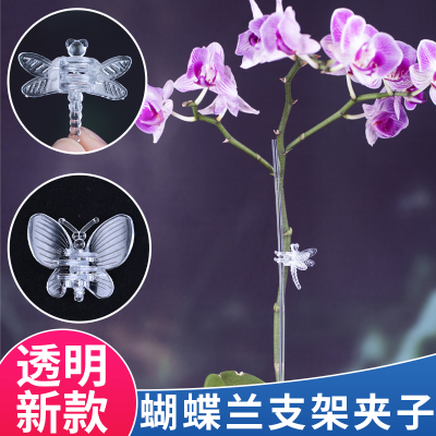 透明夹子蝴蝶兰专用柔韧