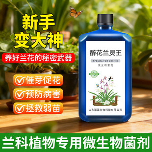 兰灵王兰花专用营养液肥料兰灵王君子兰蝴蝶兰石斛兰科促花活化剂